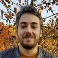 Liviu Chircu